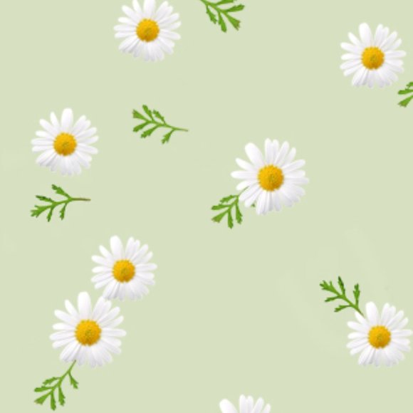 Meet your Posher - Picture 1 of 1